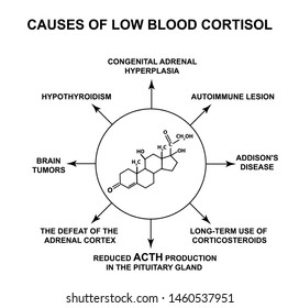 Causes Of Low Blood Cortisol. The Stress Hormone Cortisol Is A Chemical Molecular Formula. Infographics. Illustration On Isolated Background.