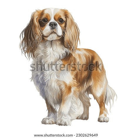 Cavalier King Charles Spaniel Dog Watercolor Painting Illustration Isolated on White Background Transparent