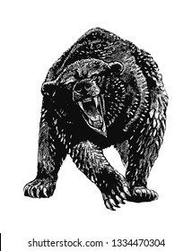 Cave Bear Isolated Illustration Grizzly Bear Stock Illustration ...