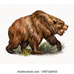 The Cave Bear (Ursus Spelaeus), Realistic Drawing, Illustration For The Encyclopedia Of Extinct Animals, Isolated Image On White Background