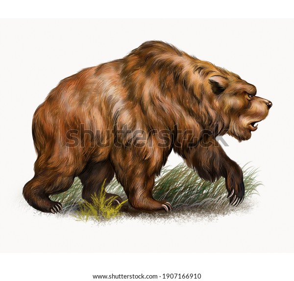 白い背景に洞窟熊 ウルス スペラエス 写実的な絵 絶滅した動物の百科事典のイラスト 分離型画像 のイラスト素材