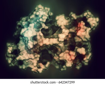 CD38 (ectodomain Fragment) Enzyme. Target Of The Monoclonal Antibody Drug Daratumumab, Used For The Treatment Of Multiple Myeloma. 3D Rendering Based On Protein Data Bank Entry 5f1k. 