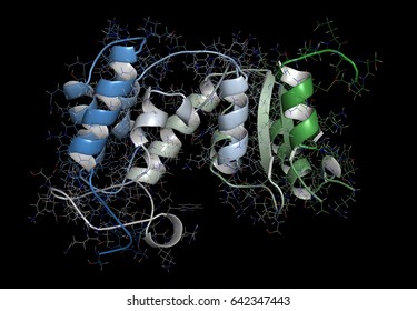 CD38 (ectodomain Fragment) Enzyme. Target Of The Monoclonal Antibody Drug Daratumumab, Used For The Treatment Of Multiple Myeloma. 3D Rendering Based On Protein Data Bank Entry 5f1k. 