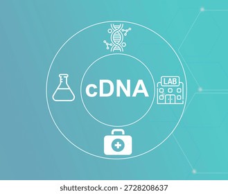 cDNA acronym.Complementary Deoxyribonucleic Acid concept.cDNA (Complementary Deoxyribonucleic Acid) is synthesized from mRNA for genetic research.