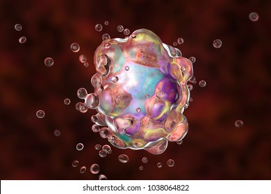 Cell apoptosis, a process of programmed cell destruction that occurs in multicellular organisms, 3D illustration showing changes in cellular morphology, blebbing, cell shrinkage