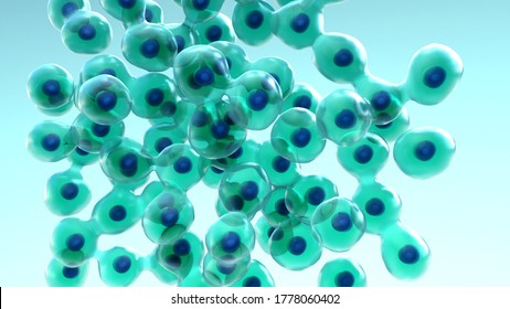 Cell Division And Growth, Process By Which A Parent Cell Divides Into Two Or More Daughter Cells 3d Illustration