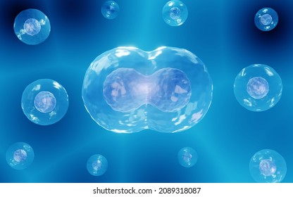 270 Meiosis 3d Images, Stock Photos & Vectors | Shutterstock