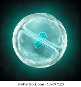 A Cell Division Process - Scientific Illustration