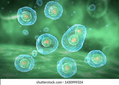 Cell Division Stages Mitosis 3d Illustration Stock Illustration ...