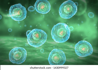 Cell Division Stages Mitosis 3d Illustration Stock Illustration ...