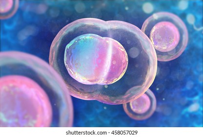 Cell embryo, Mitosis under microscope. 3D illustration