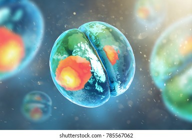 Cell Embryo, Mitosis Under Microscope. 3D Illustration