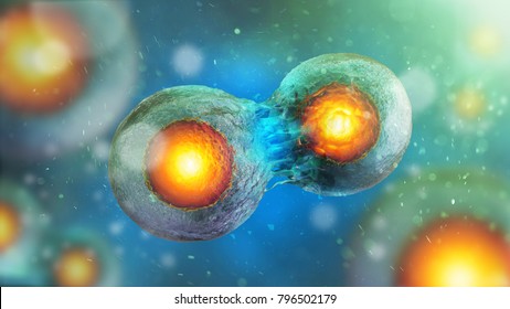 Cell Embryo, Mitosis Under Microscope. 3D Illustration