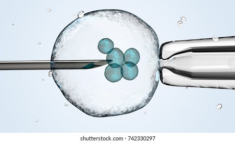 Die Zelle hält sich an einer Pipette und einer Nelke. mit Beschneidungspfad, 3D-Abbildung