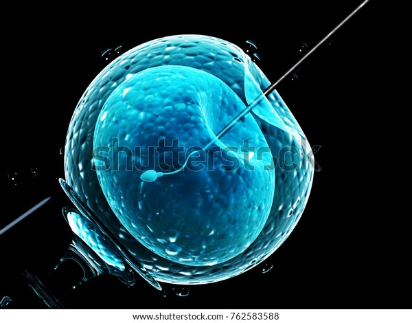 Cell injection - artificial insemination. Needle\
puncture the cell membrane. Spermatozoon in egg. Isolated on black\
background. 3d\
render