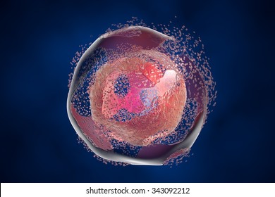 Cell lysis. Destruction of a cell. Can be used to illustrate effect of drugs, medicines, microbes, nanoparticles, apoptosis