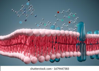 383 Cytoskeleton Images, Stock Photos & Vectors | Shutterstock