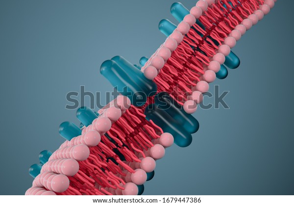 Cell membrane and biology, biological\
concept, 3d rendering. Computer digital\
drawing.
