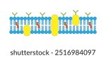 Cell membrane, Plasma Membrane, cytoplasmic membrane, plasmalemma