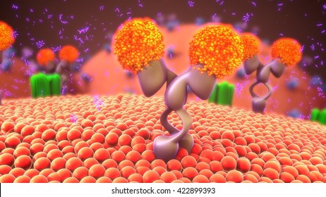 Cell Membrane Receptors 3d Illustration