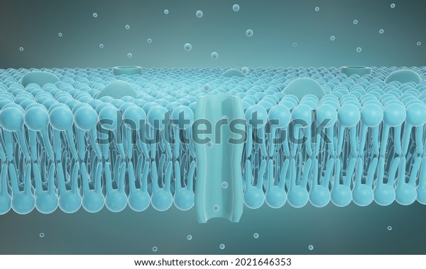 Cell membrane structure with ion channels,\
3d illustration