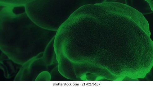 Cell Moving In Human Tissue, Microscopic View. 3d Rendering