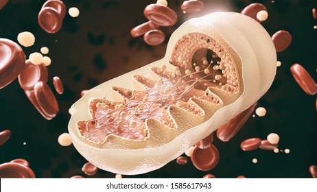 Cell organism in close-up  -- 3D Rendering