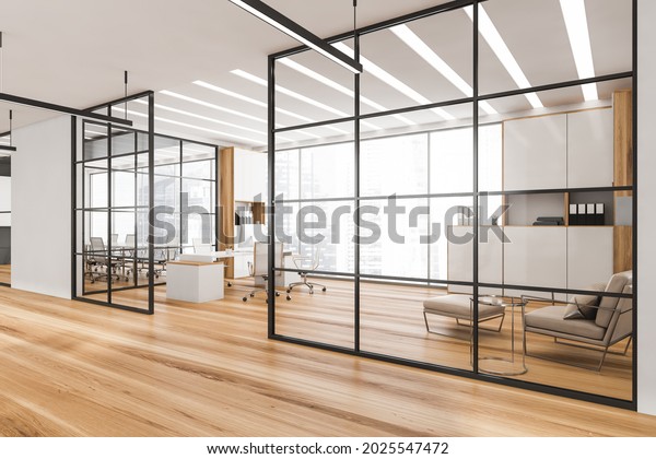 CEO office interior with black frame glass wall\
partitions, LED linear lights, two on trend cabinets, office desk\
and comfy waiting area. A concept of modern panoramic office\
building. 3d\
rendering
