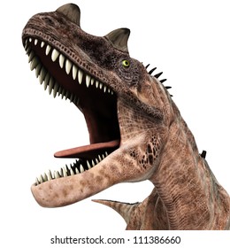 ceratosaurus close up