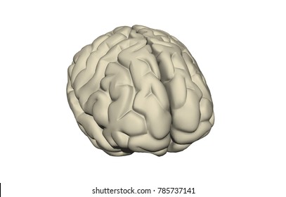 Brainwraps Images, Stock Photos & Vectors | Shutterstock