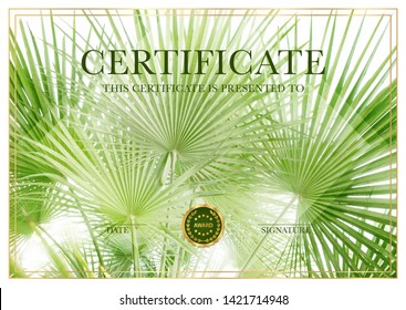 Certificate with green palm leaf (leaves) gold medal and blank place - Powered by Shutterstock