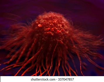 Cervical Cancer Cell