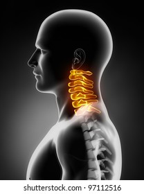 Cervical Spine Anatomy Lateral View