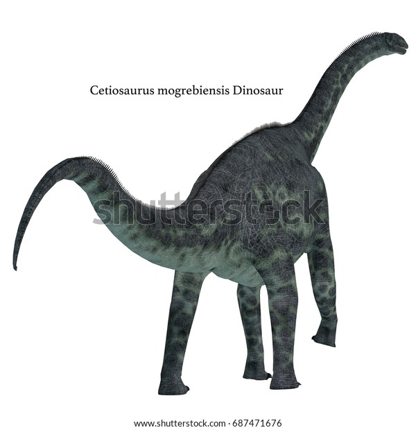 cetiosaurus