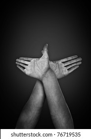 Cg Hands Forming Dove