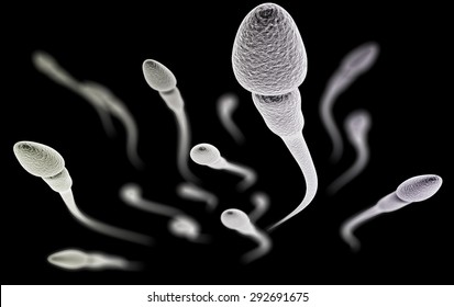 Spermatozoides Images Stock Photos Vectors Shutterstock