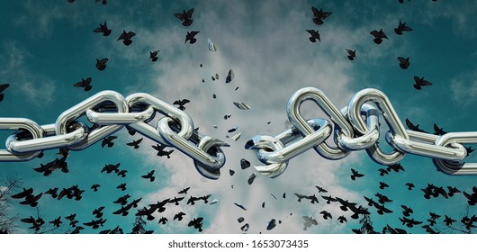 chain breaking in peaces and birds escape to the sky - 3d rendeing