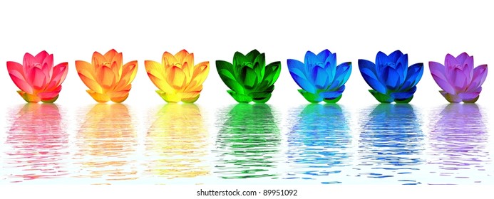 Chakra Colors Of Lily Flower Upon Water In White Background