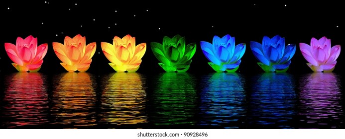 Chakra colors of lily flower upon water in night background