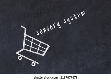 Chalk Drawing Of Shopping Cart And Word Sensory System On Black Chalboard. Concept Of Globalization And Mass Consuming.