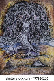character illustration tree