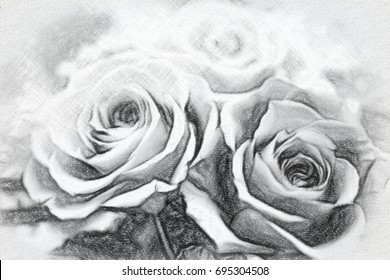Charcoal Drawing; A Gift of Preservrd Flower and Clay Flower Arrangement, Blue and Pink Roses