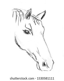 Charcoal Drawing Head Horse Stock Illustration 1530581111 | Shutterstock