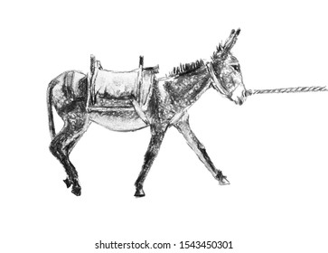 Pencil Drawing of Donkey Images, Stock Photos & Vectors | Shutterstock