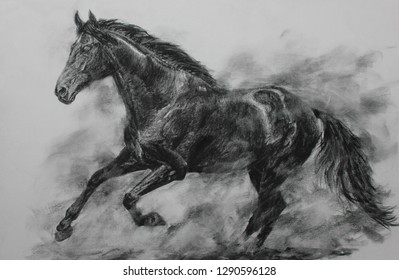 Charcoal painting of Horse on canvas , Draw animals , Beautiful portrait , realistic , emotions