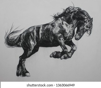 Charcoal painting of Horse on canvas , Draw animals , Beautiful portrait , realistic , emotions