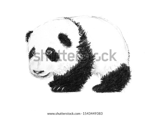Charcoal Pencil Drawing Baby Panda Stock Illustration