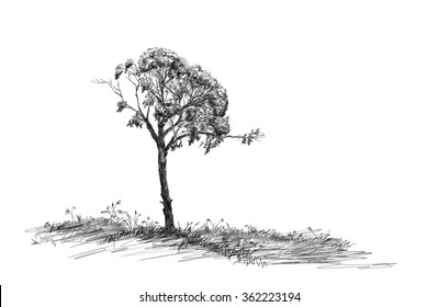 Charcoal sketch of tree on grass field