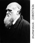 Charles Darwin, c, 1880,