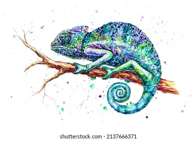 26,094 Chameleon tree lizard Images, Stock Photos & Vectors | Shutterstock